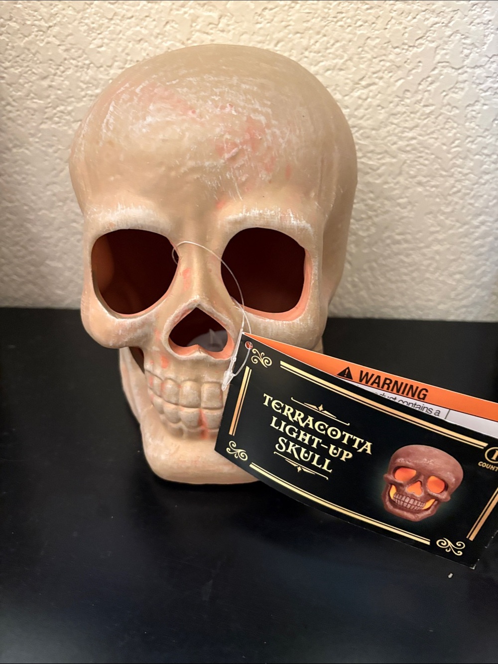 Terracotta Light-Up Skull Decorative Accent - Beige/Tan